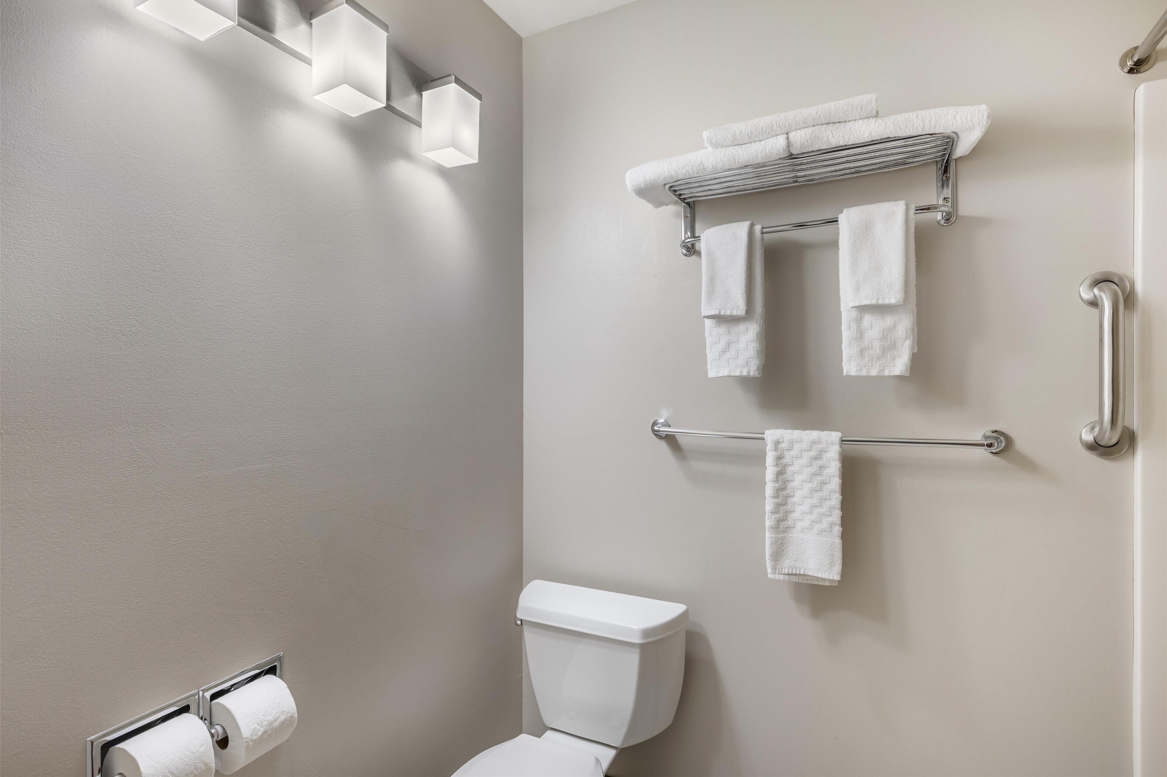 A bathroom with a toilet, a towel rack, and a handrail.