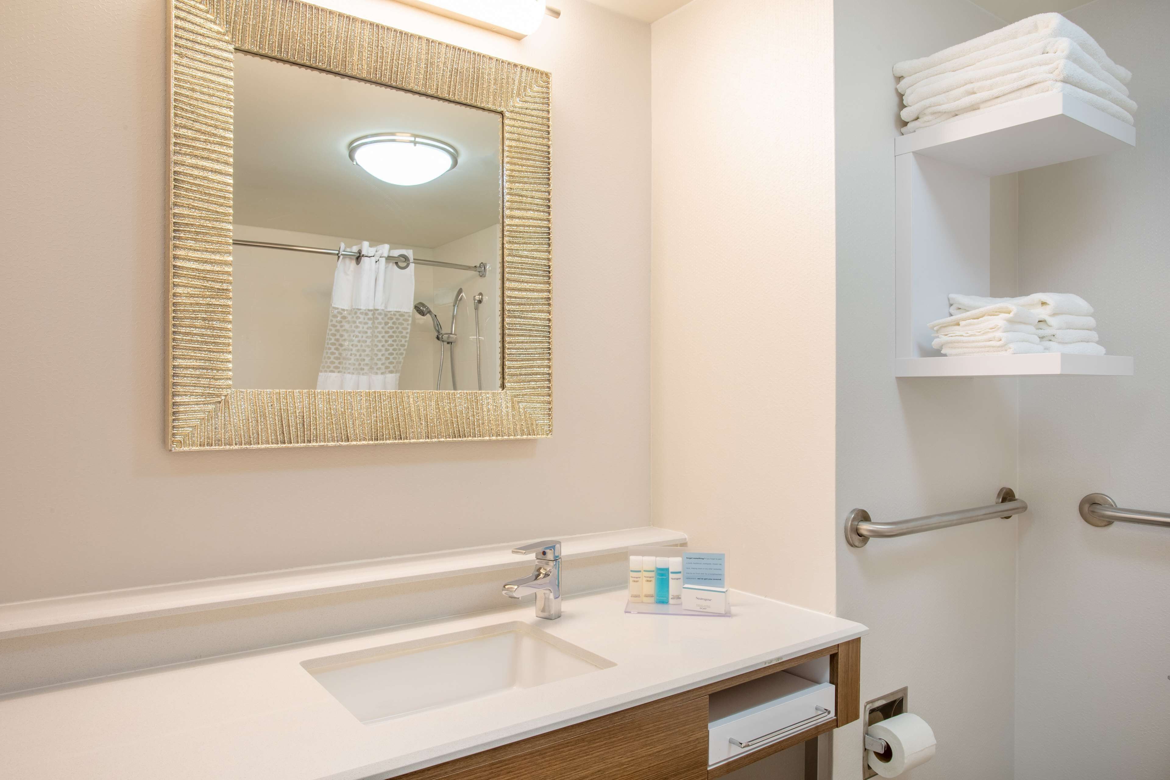 room, accessible, non smoking | bathroom shower