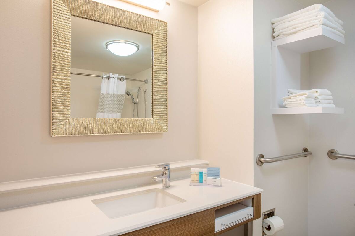 room, accessible, non smoking | bathroom shower