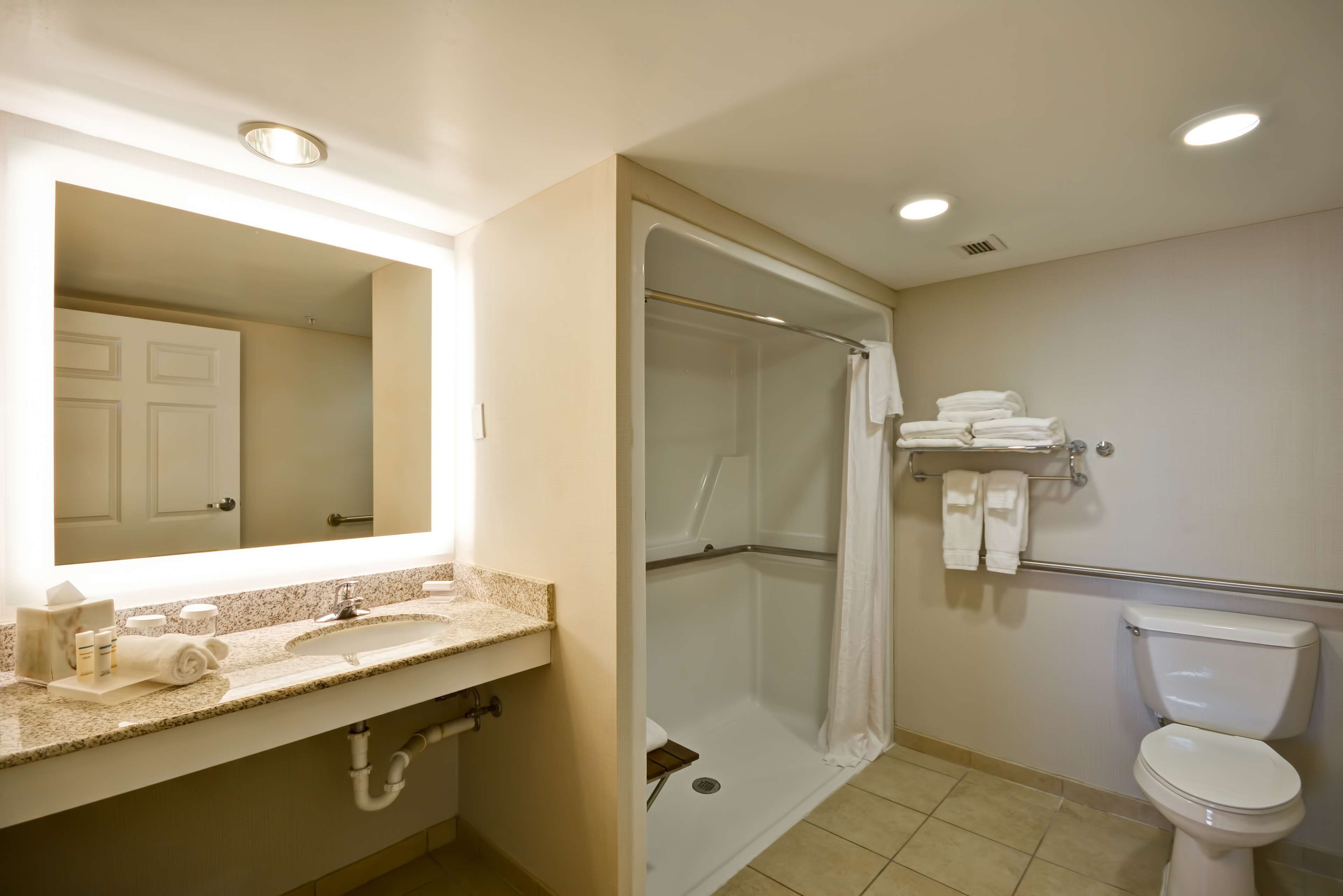 suite, 2 double beds, accessible (roll-in shower) | bathroom shower