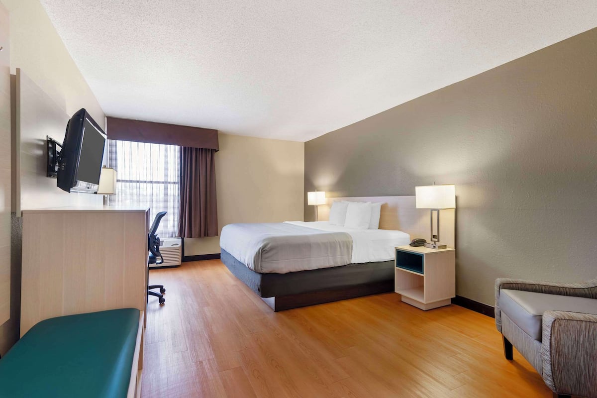 Habitación de hotel con cama, escritorio con televisor, silla, mesita de noche con lámpara y sofá.