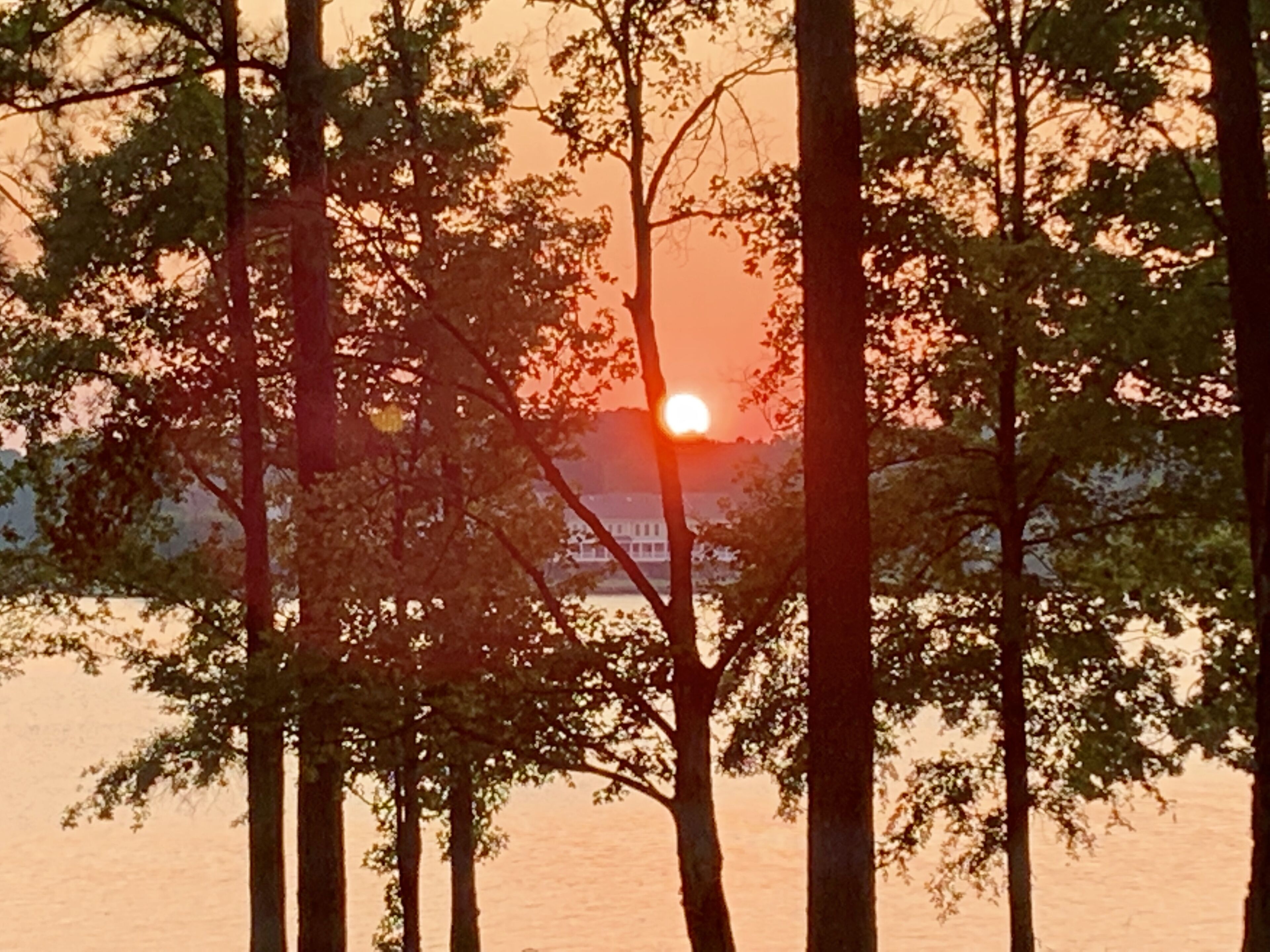 A sunset over a body of water with trees in the foreground.