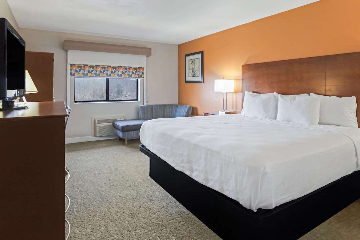 Standard Room, 1 King Bed, Non Smoking, Refrigerator & Microwave | Desk, laptop workspace, iron/ironing board, free WiFi