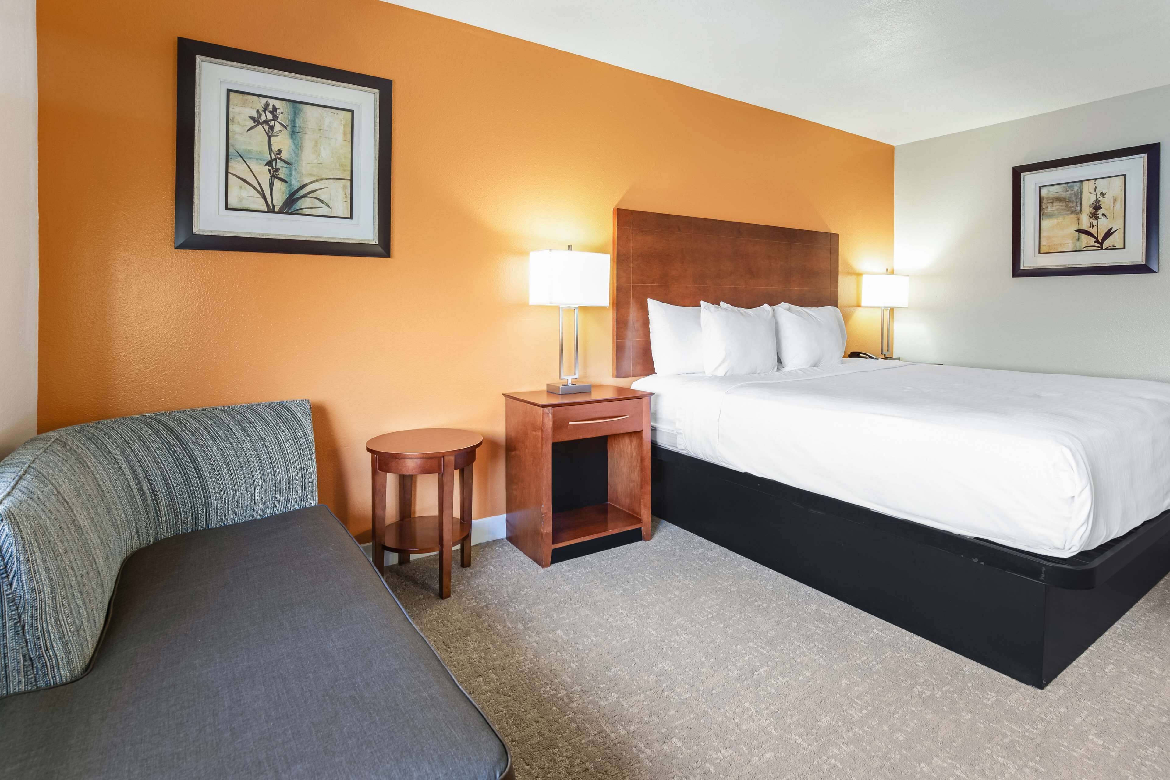 standard room, 1 king bed, non smoking, refrigerator & microwave | 1 bedroom, desk, laptop workspace, iron/ironing board