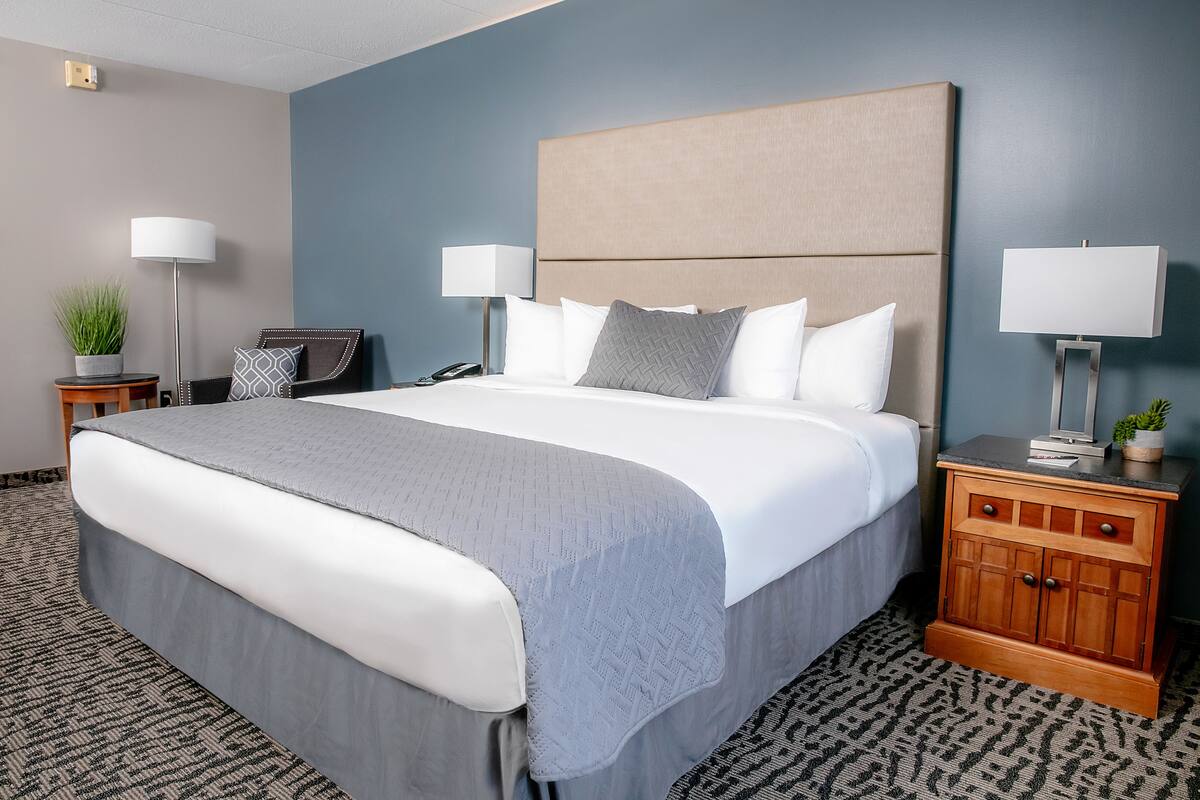 A hotel room with a large bed, two bedside tables, a nightstand, a lamp, a potted plant, and a wall-mounted phone.