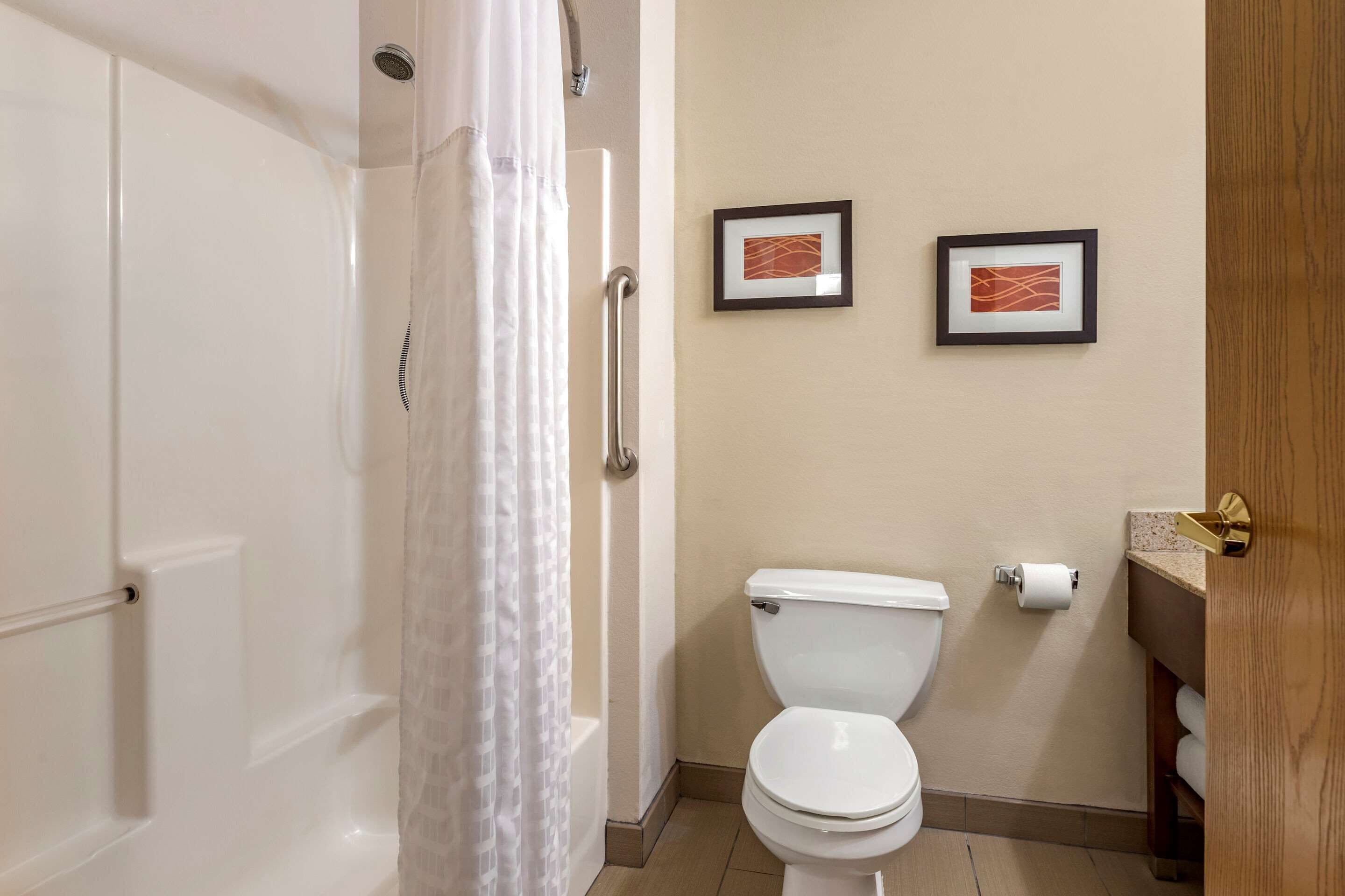 Un baño con una bañera blanca, un inodoro blanco y dos cuadros en la pared.