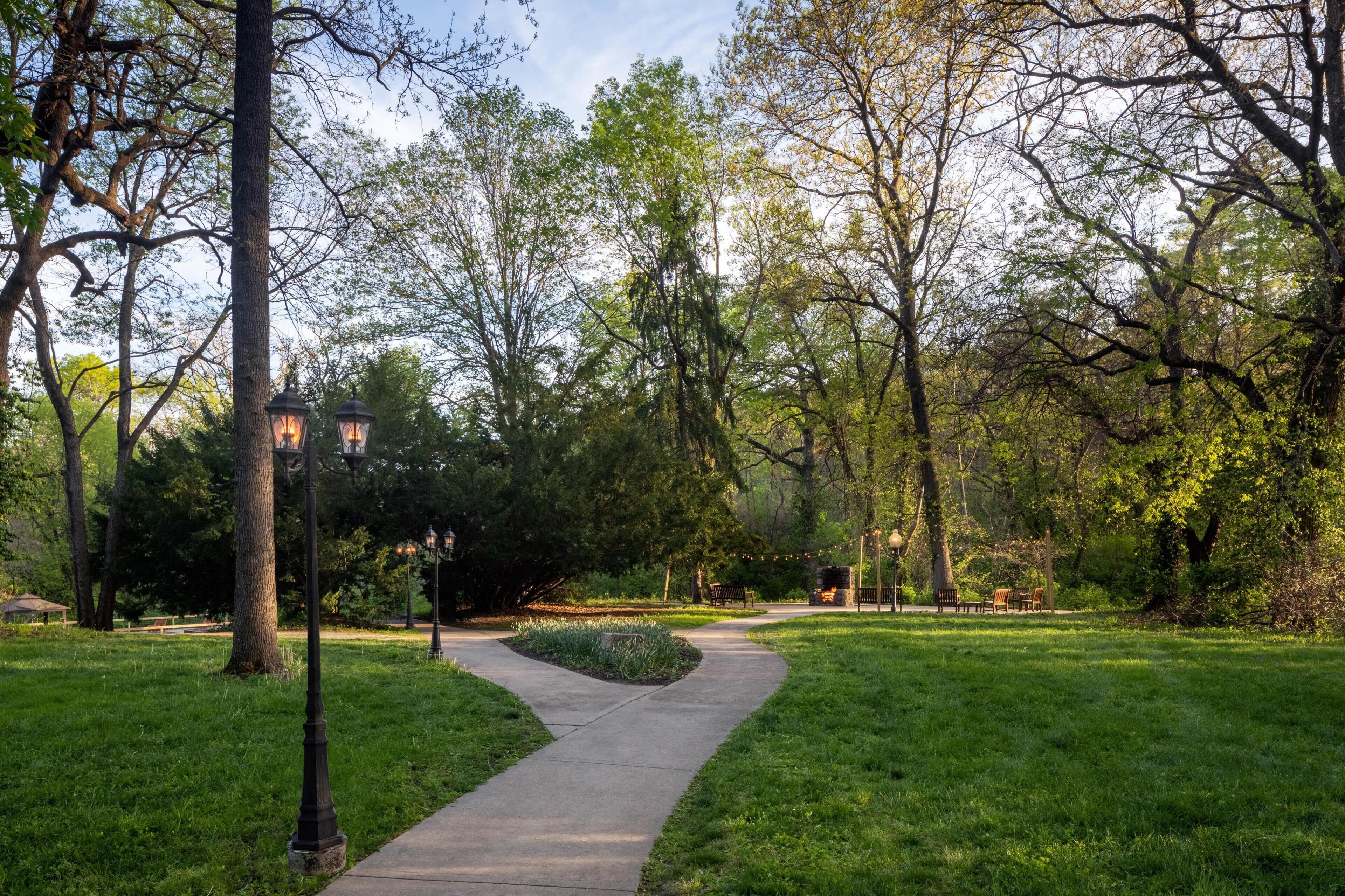 A park pathway with trees, benches, and a lamp post.
