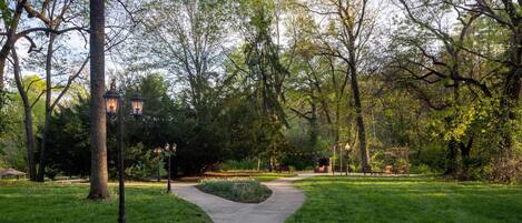 A park pathway with trees, benches, and a lamp post.
