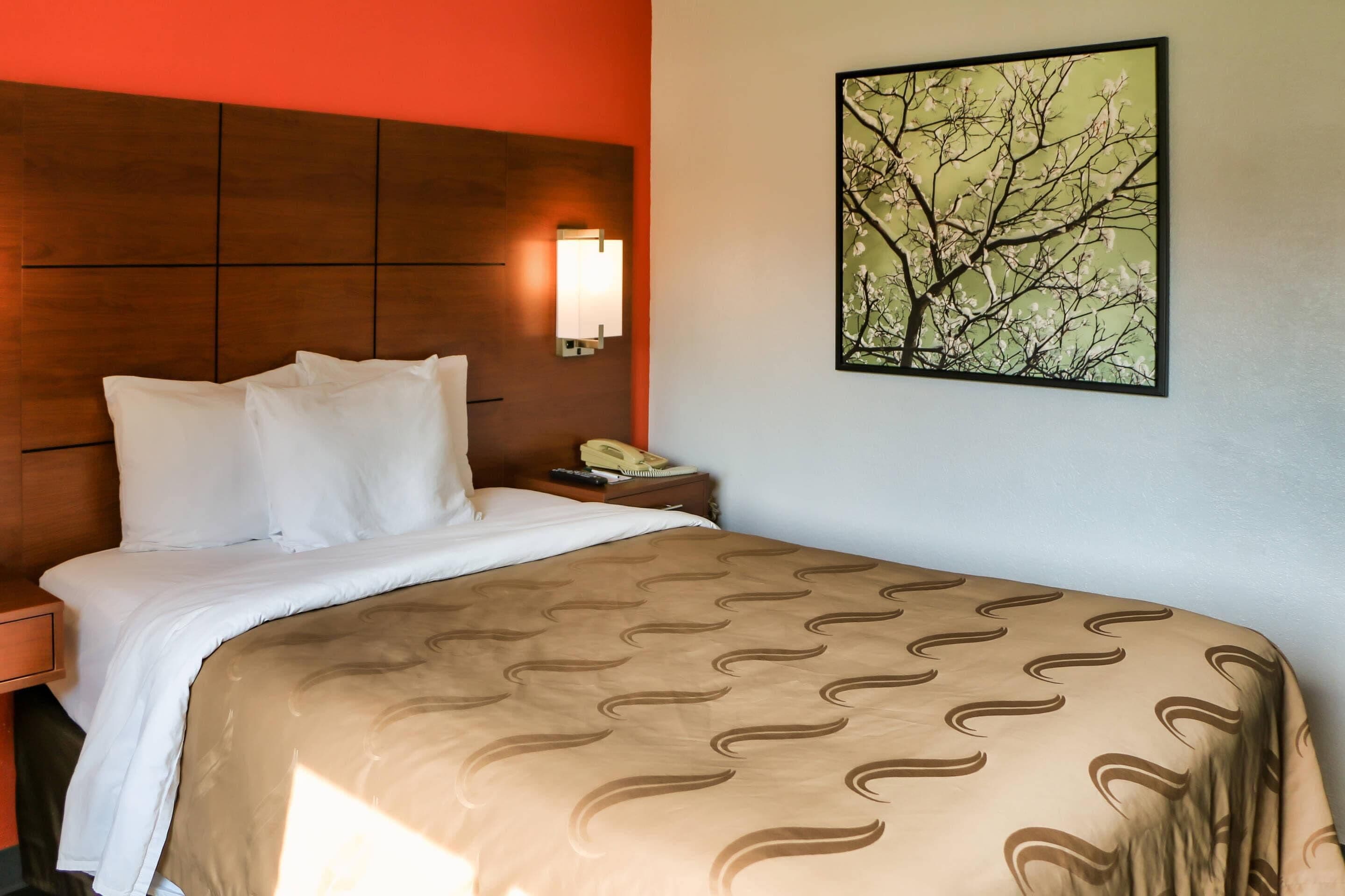 A hotel room with a wooden headboard, a bed with white linens, a beige patterned bedspread, a bedside table with a lamp, and a framed picture of a tree on the wall.