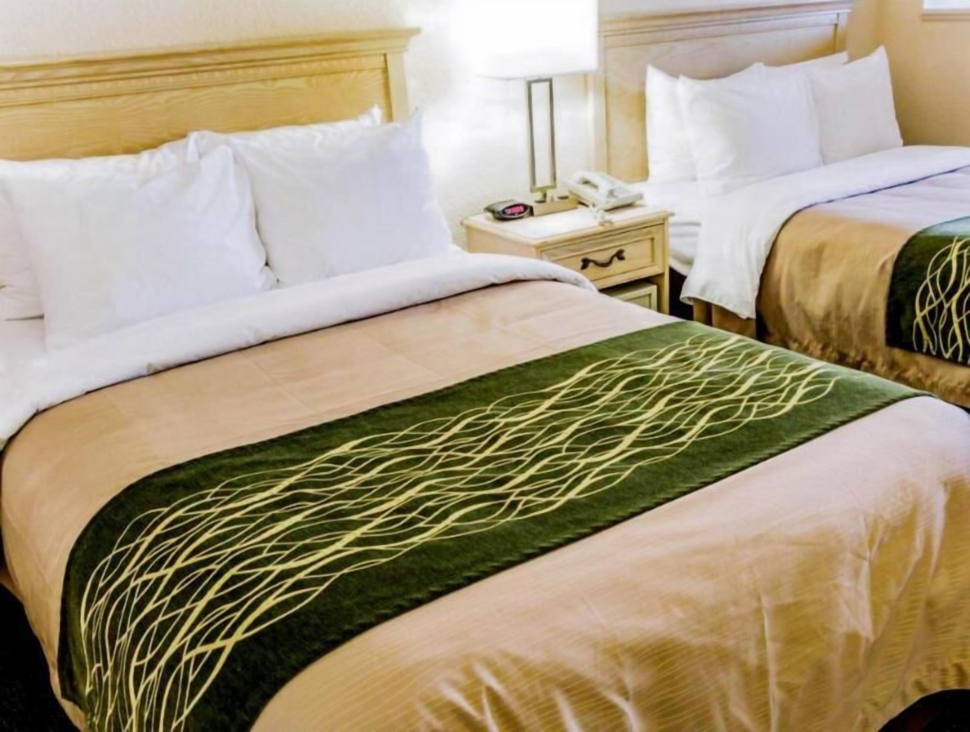 Sábanas de algodón egipcio, ropa de cama de alta calidad y edredón 