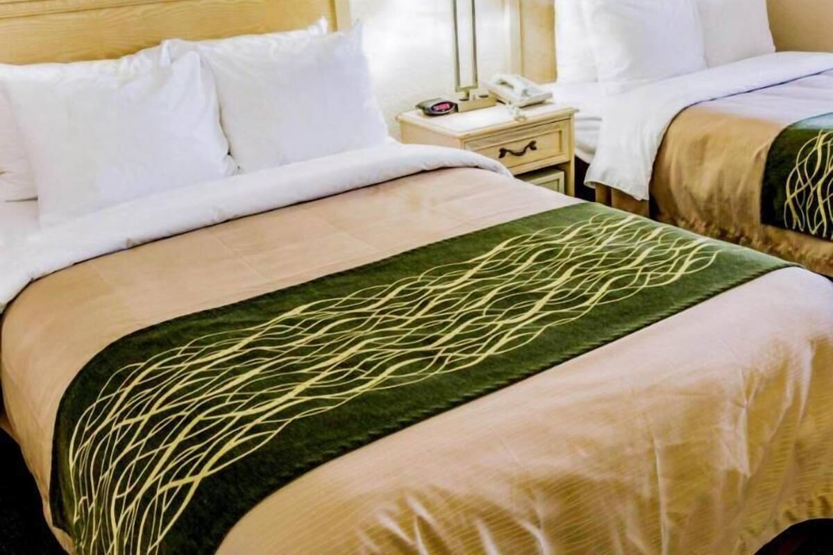 Sábanas de algodón egipcio, ropa de cama de alta calidad y edredón