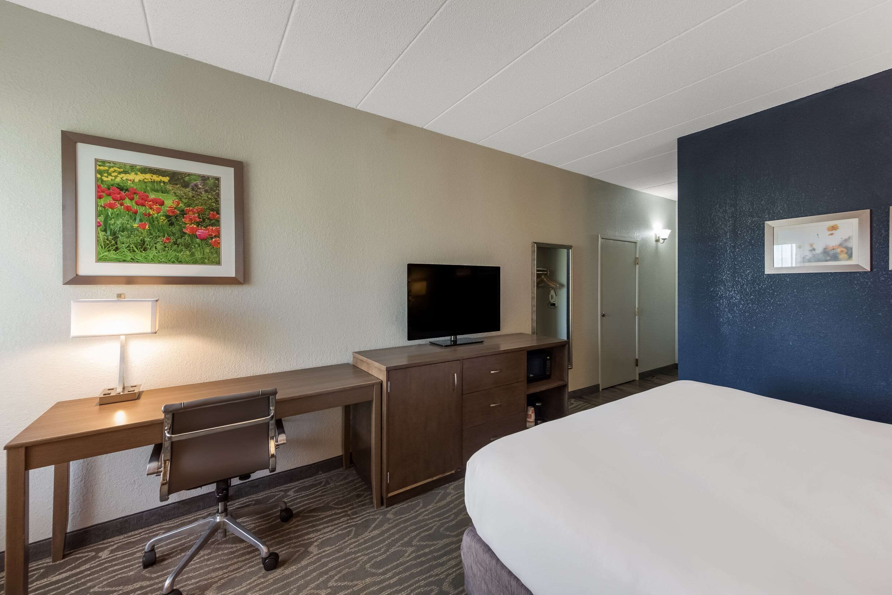 A hotel room with a bed, a desk with a chair, a television, a lamp, and a framed picture on the wall.