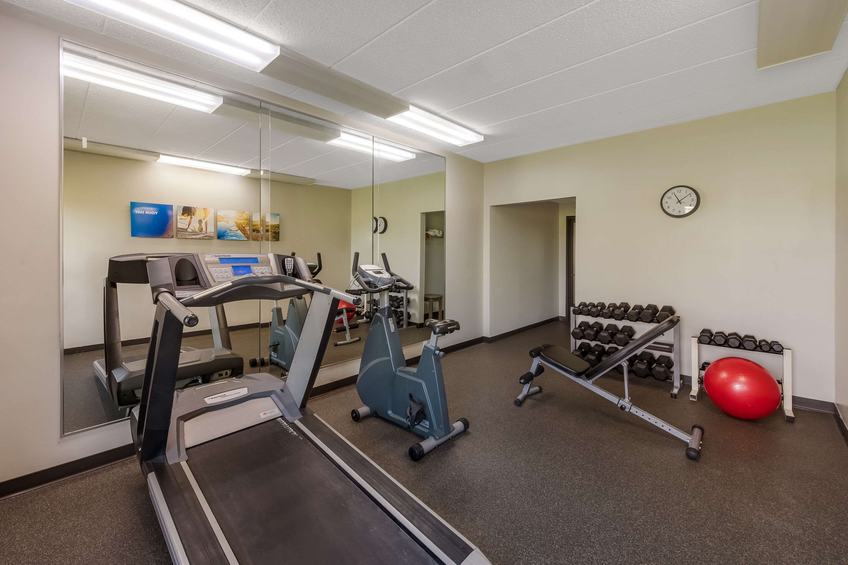 A gym with treadmills, an elliptical, dumbbells, and a red exercise ball.