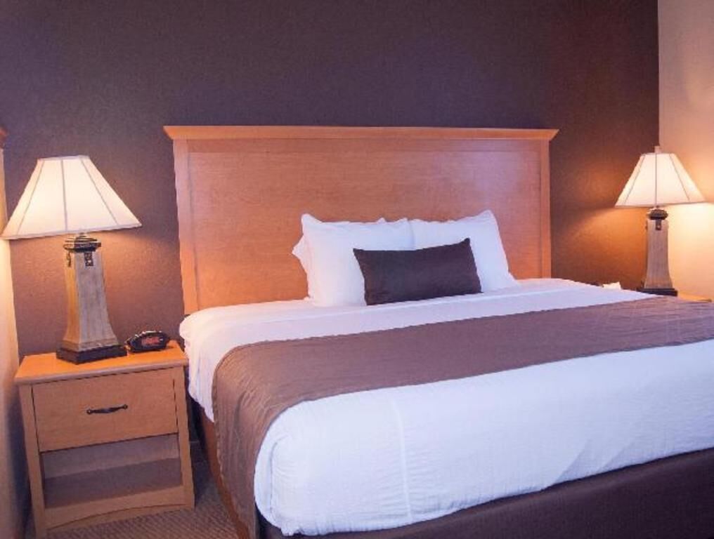 Premium bedding, in-room safe, blackout drapes, iron/ironing board