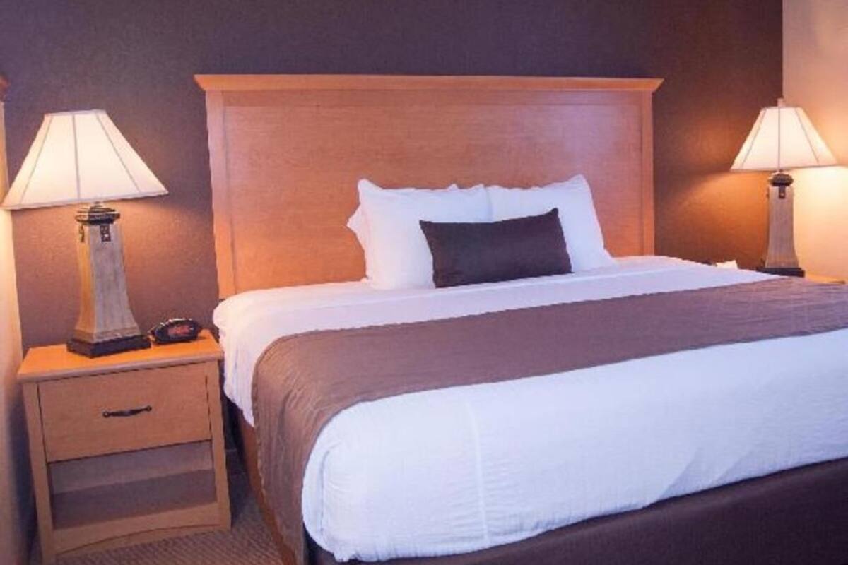 Premium bedding, in-room safe, blackout curtains, iron/ironing board