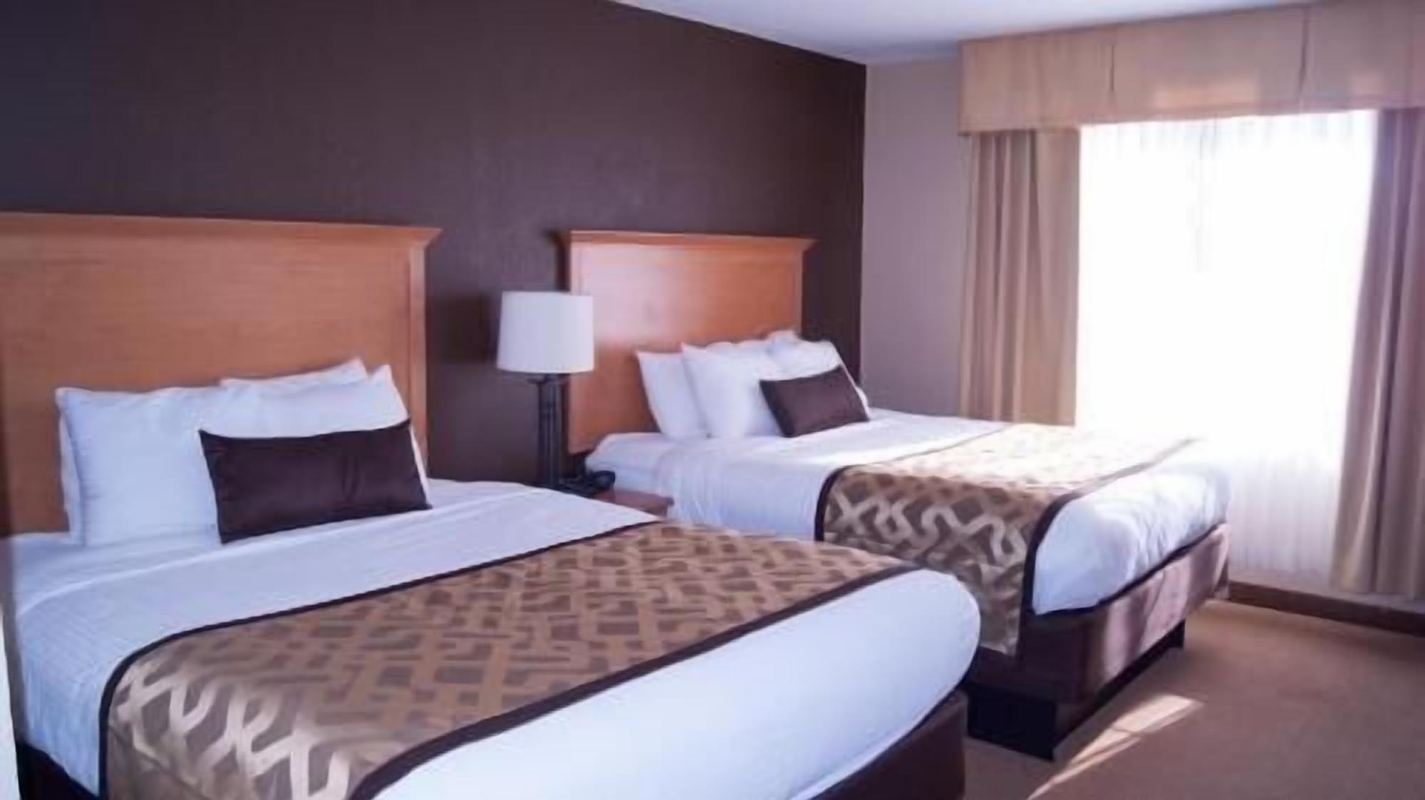 Premium bedding, in-room safe, blackout drapes, iron/ironing board