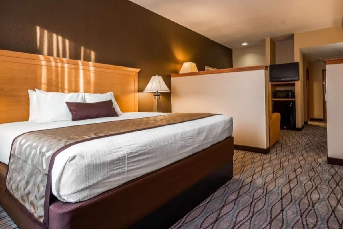 Ein Hotelzimmer mit einem großen Bett, einem Schreibtisch, einem Fernseher und einem gemusterten Teppich.