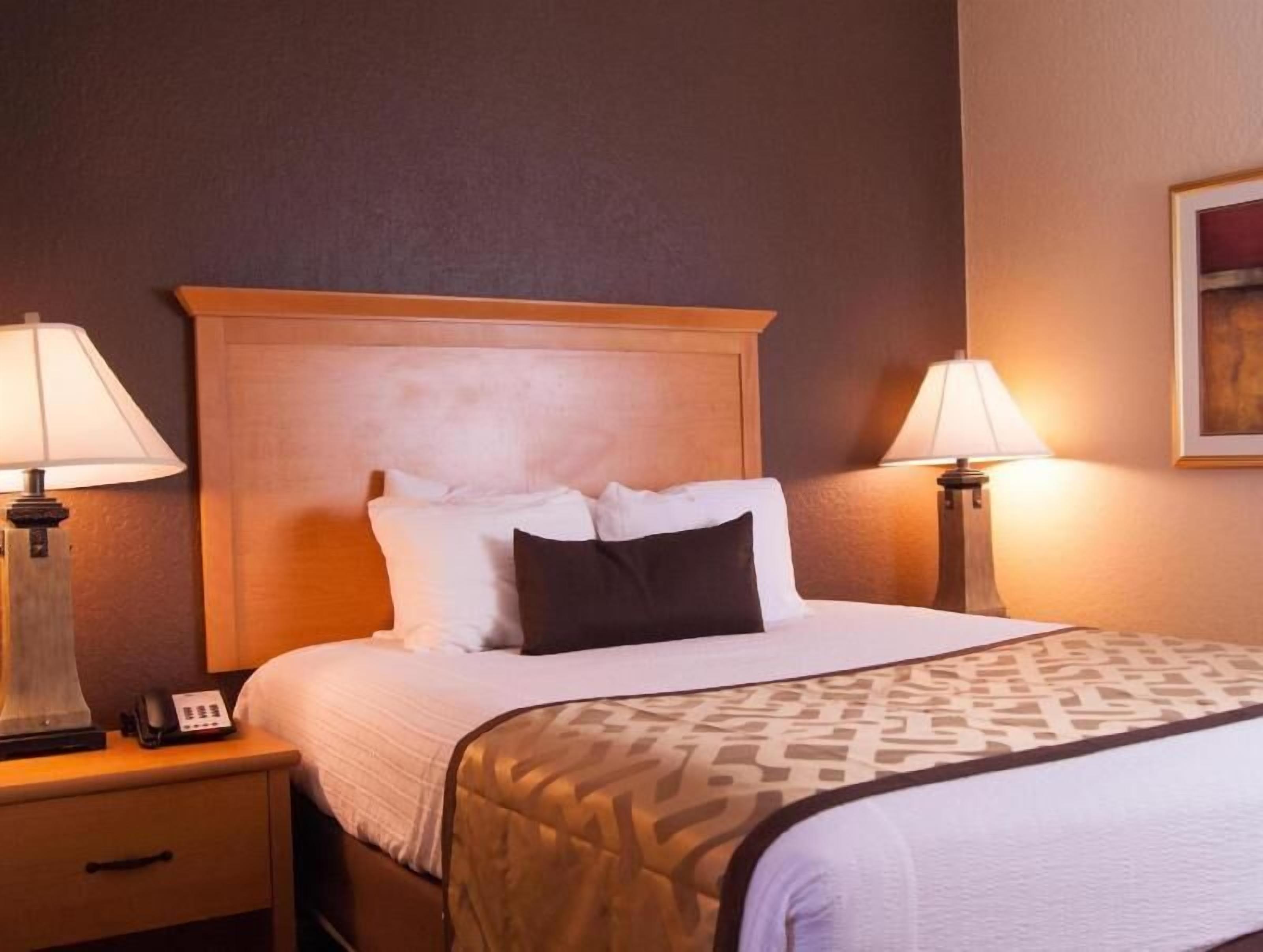 Premium bedding, in-room safe, blackout drapes, iron/ironing board