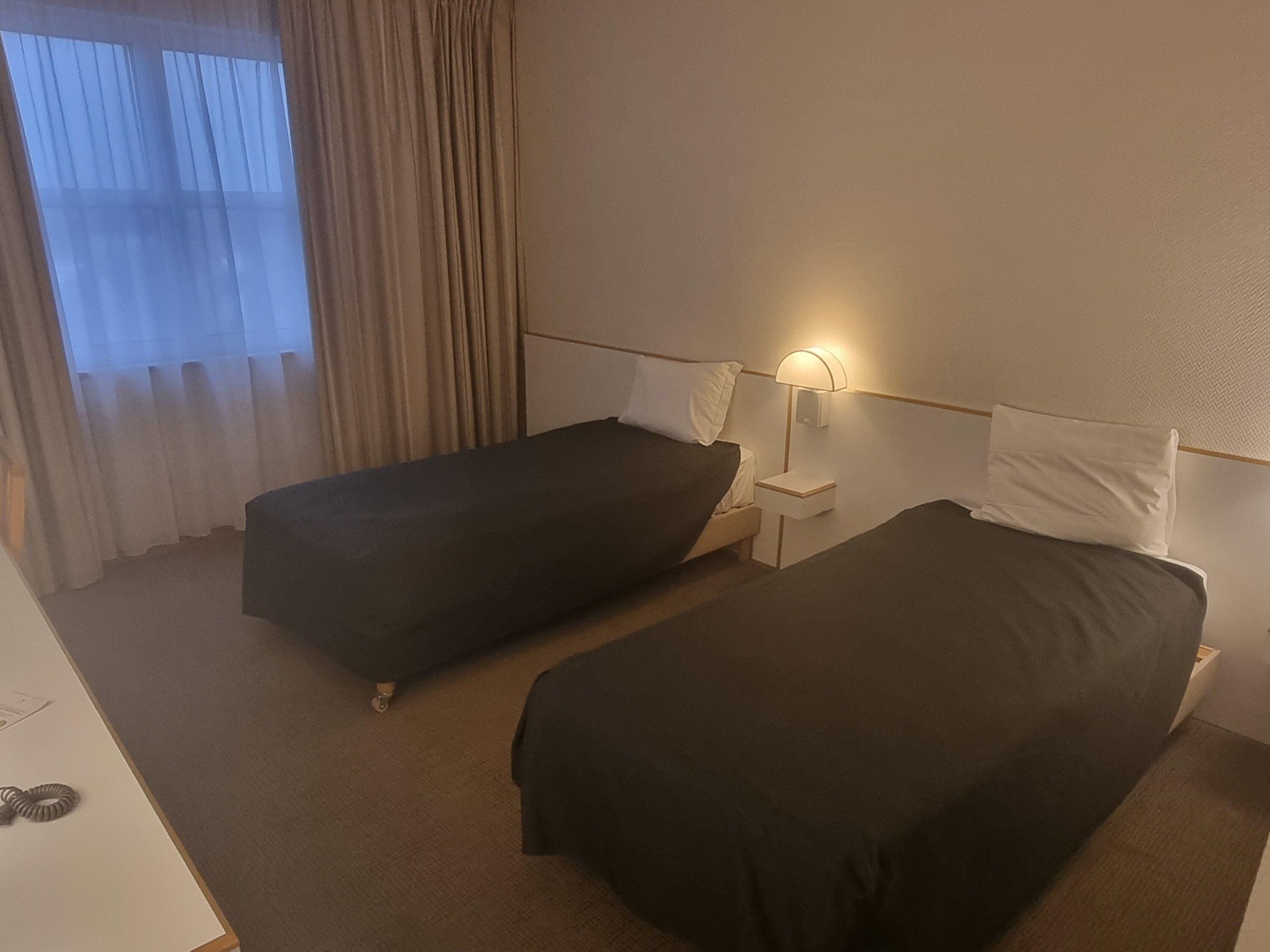 A hotel room with two single beds, a bedside table with a lamp, a window with curtains, and a carpeted floor.