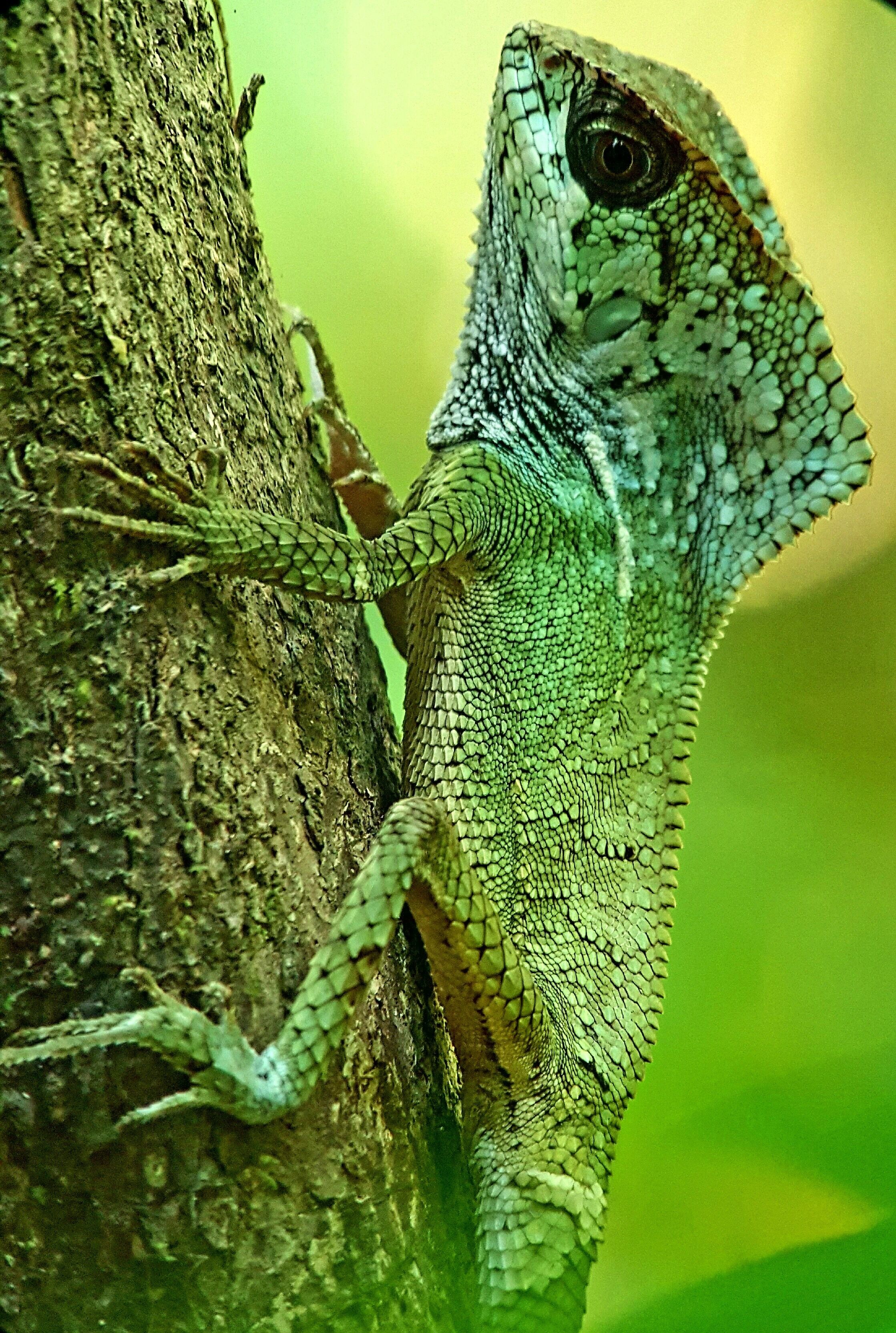 Foto - Hotel La Mariposa