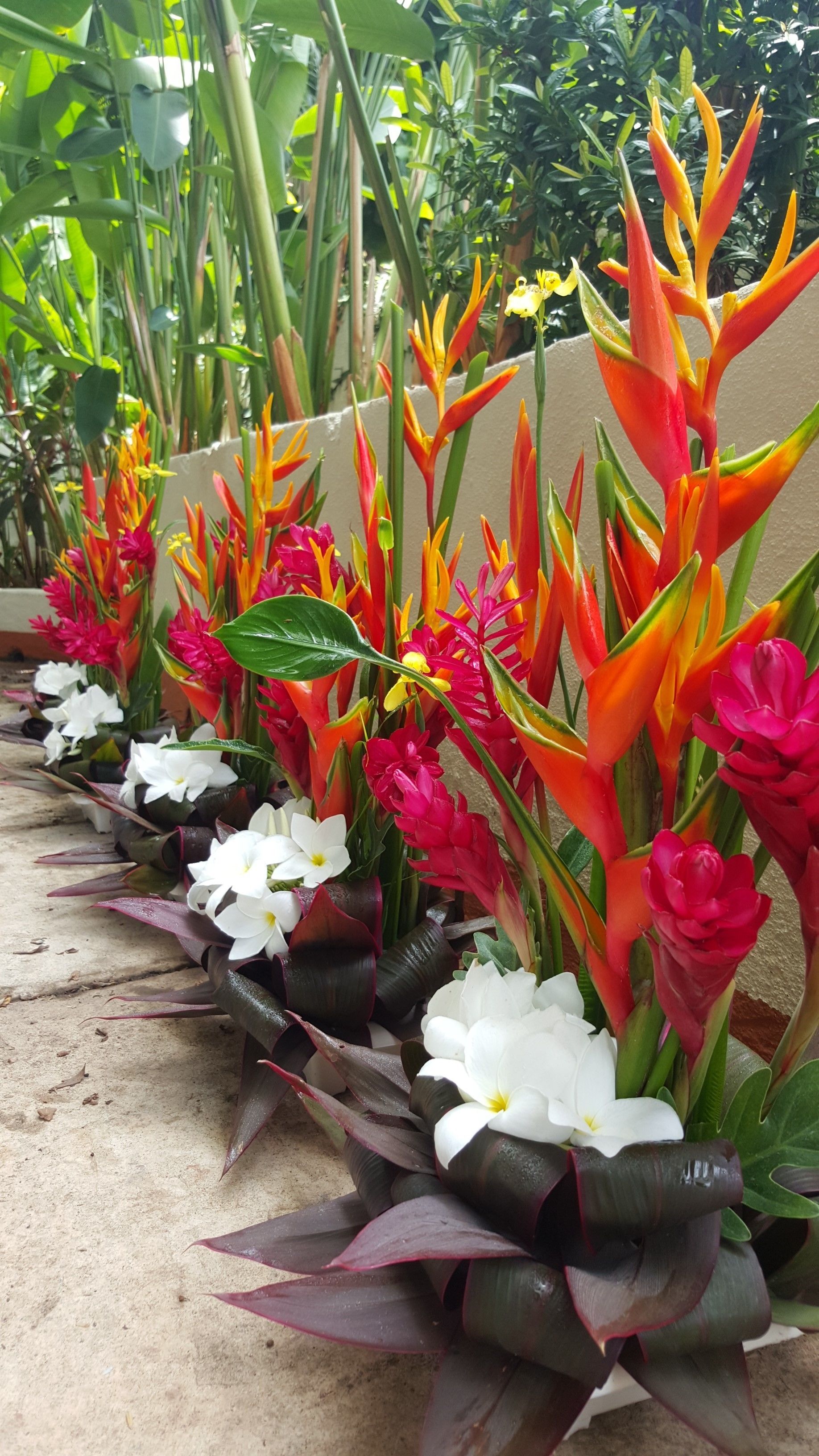 Una hilera de macetas con flores vibrantes y follaje verde.