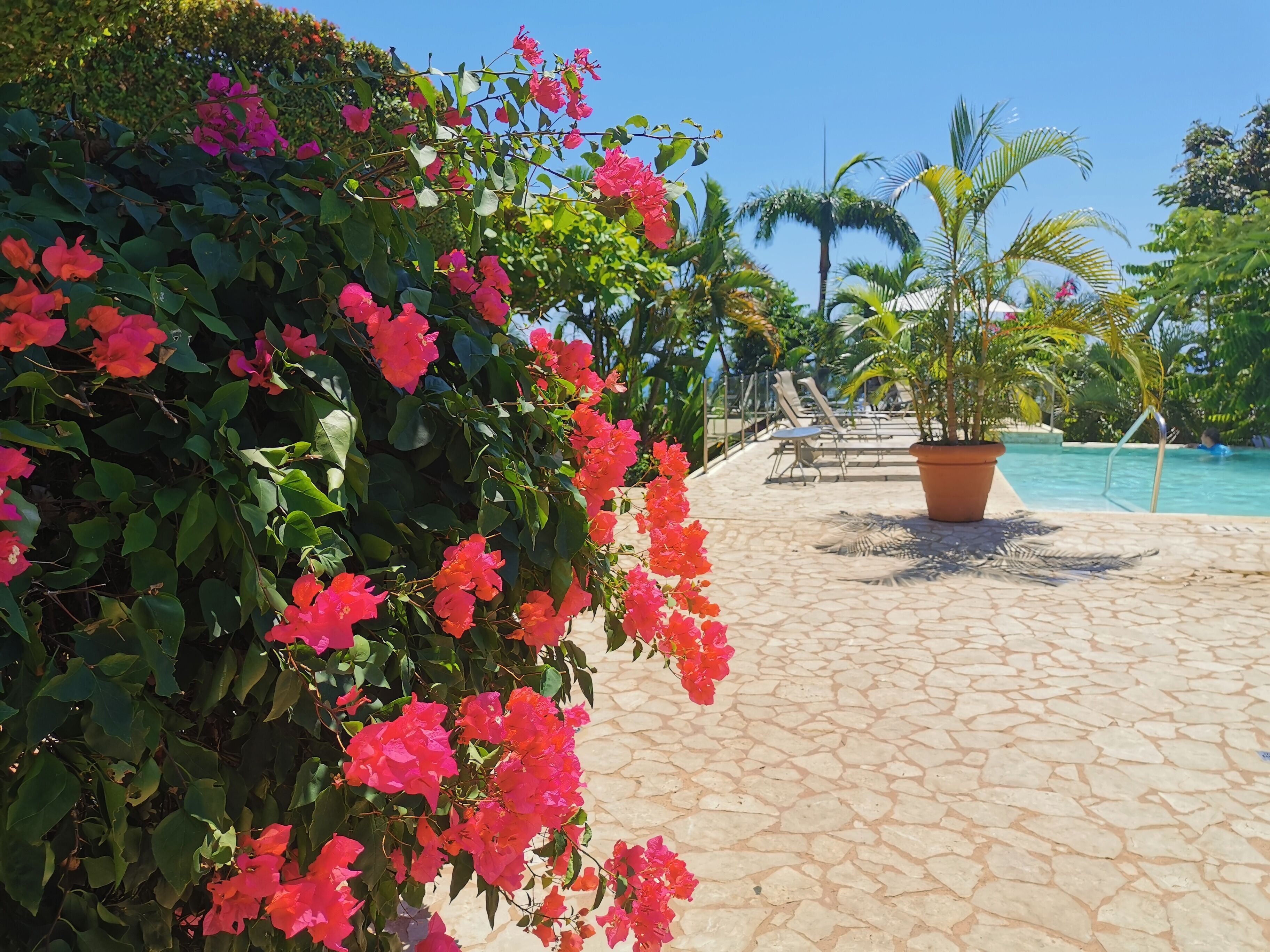 A poolside area with a tiled floor, lounge chairs, and a potted plant.