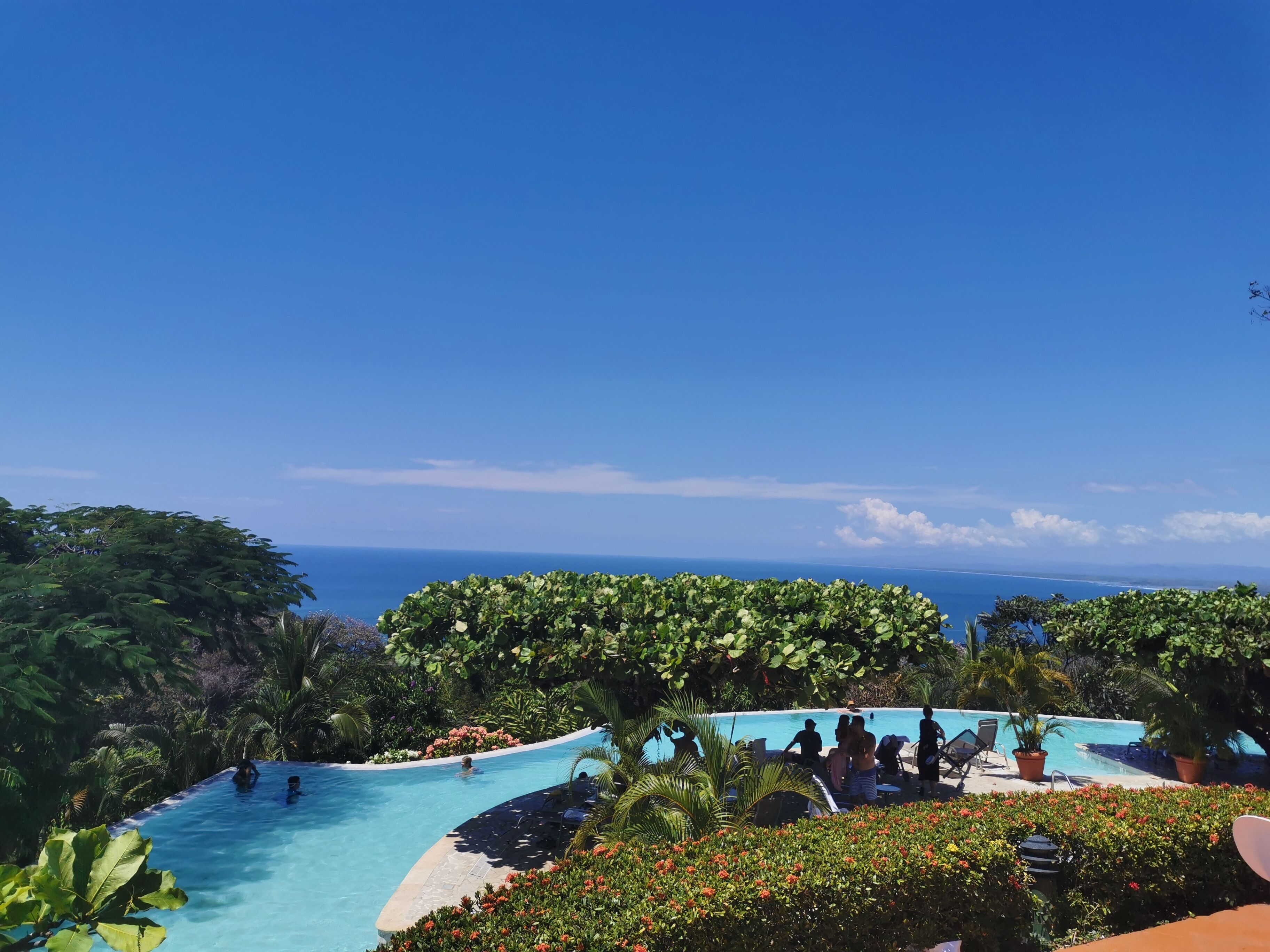 A pool area with a view of the ocean, surrounded by lush greenery and potted plants.