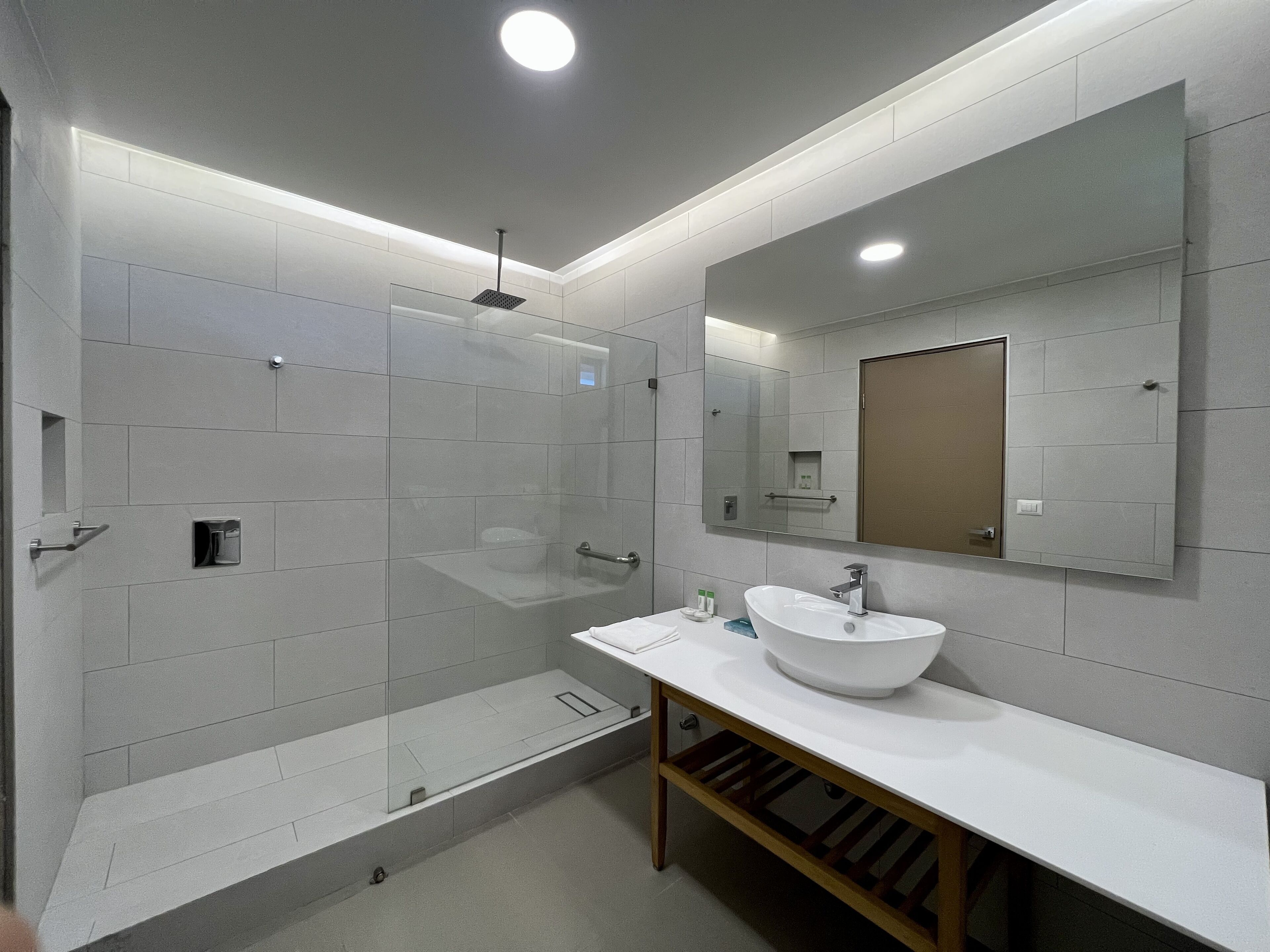 A modern bathroom with a glass shower enclosure, a white sink, and a large mirror.