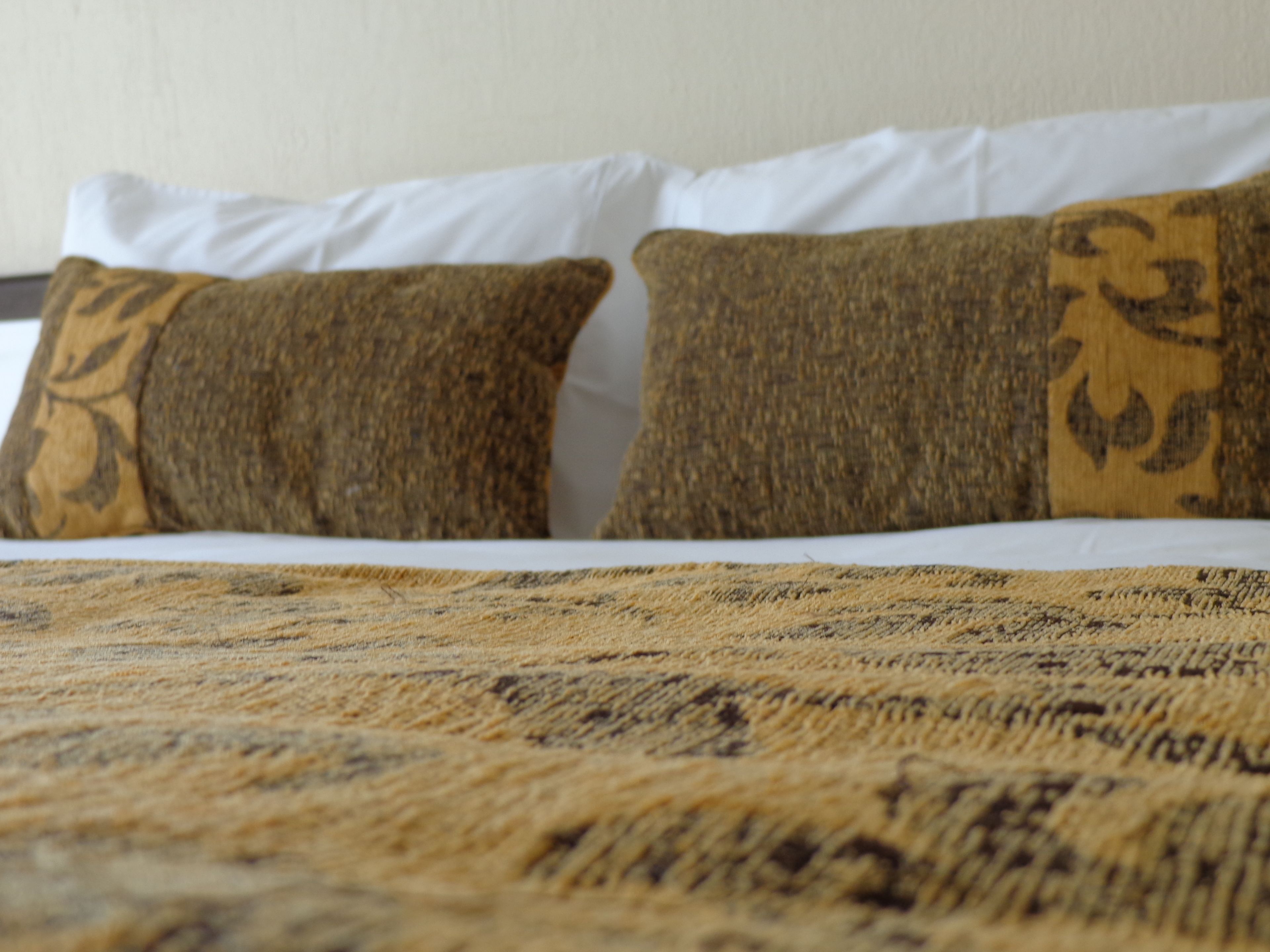 Foto - Park Hotel Calama