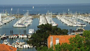 Uma marina com vários barcos atracados em águas calmas, rodeada por árvores e edifícios.