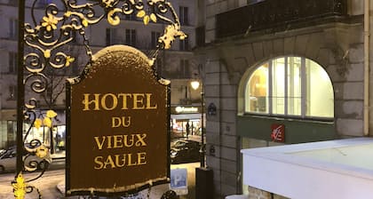 Hotel du Vieux Saule