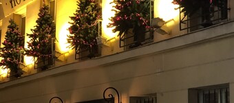 Hotel du Vieux Saule