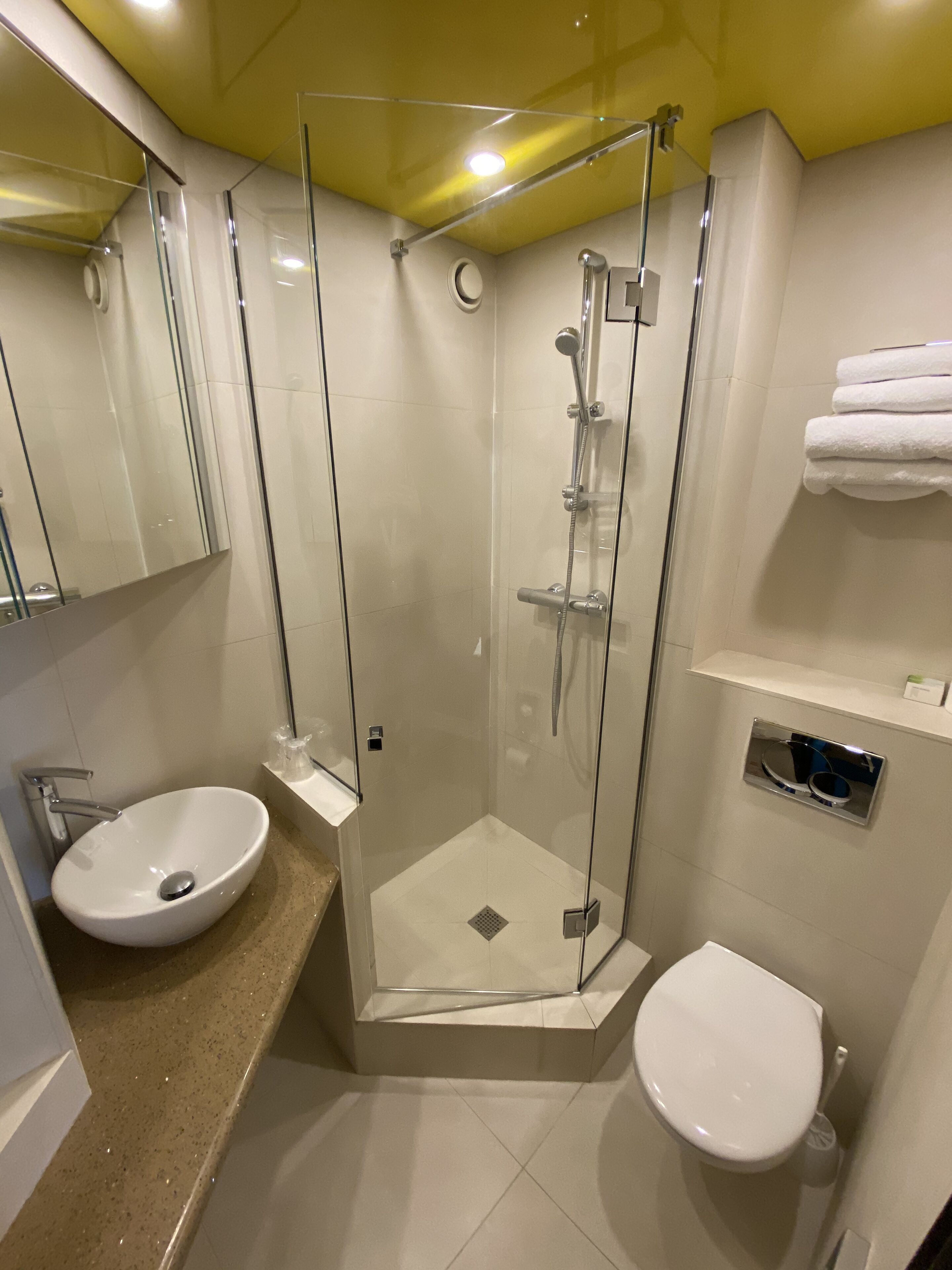 A modern bathroom with a glass-enclosed shower, a sink, and a toilet.