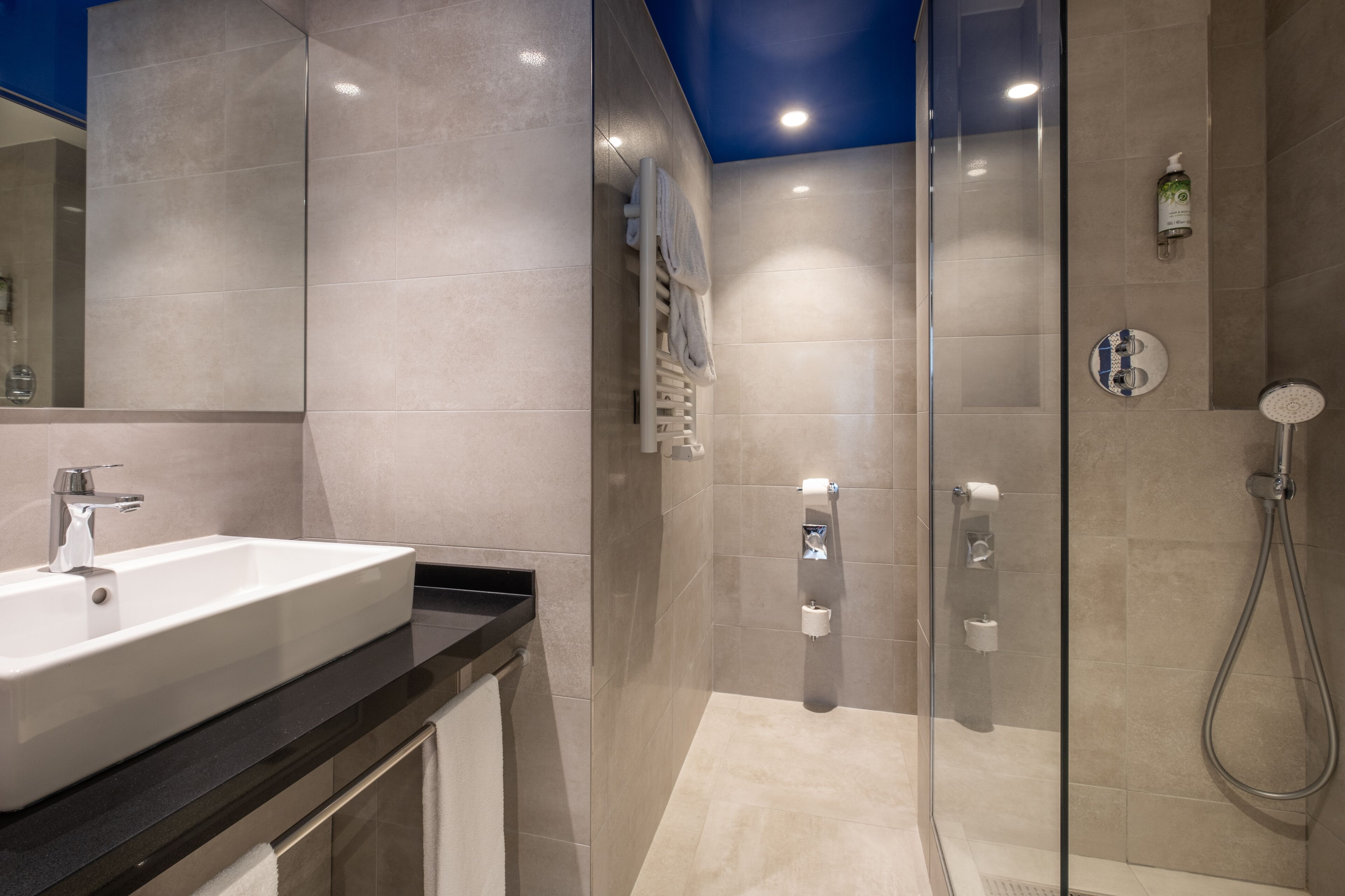 Photo - Hôtel Du Vieux Saule