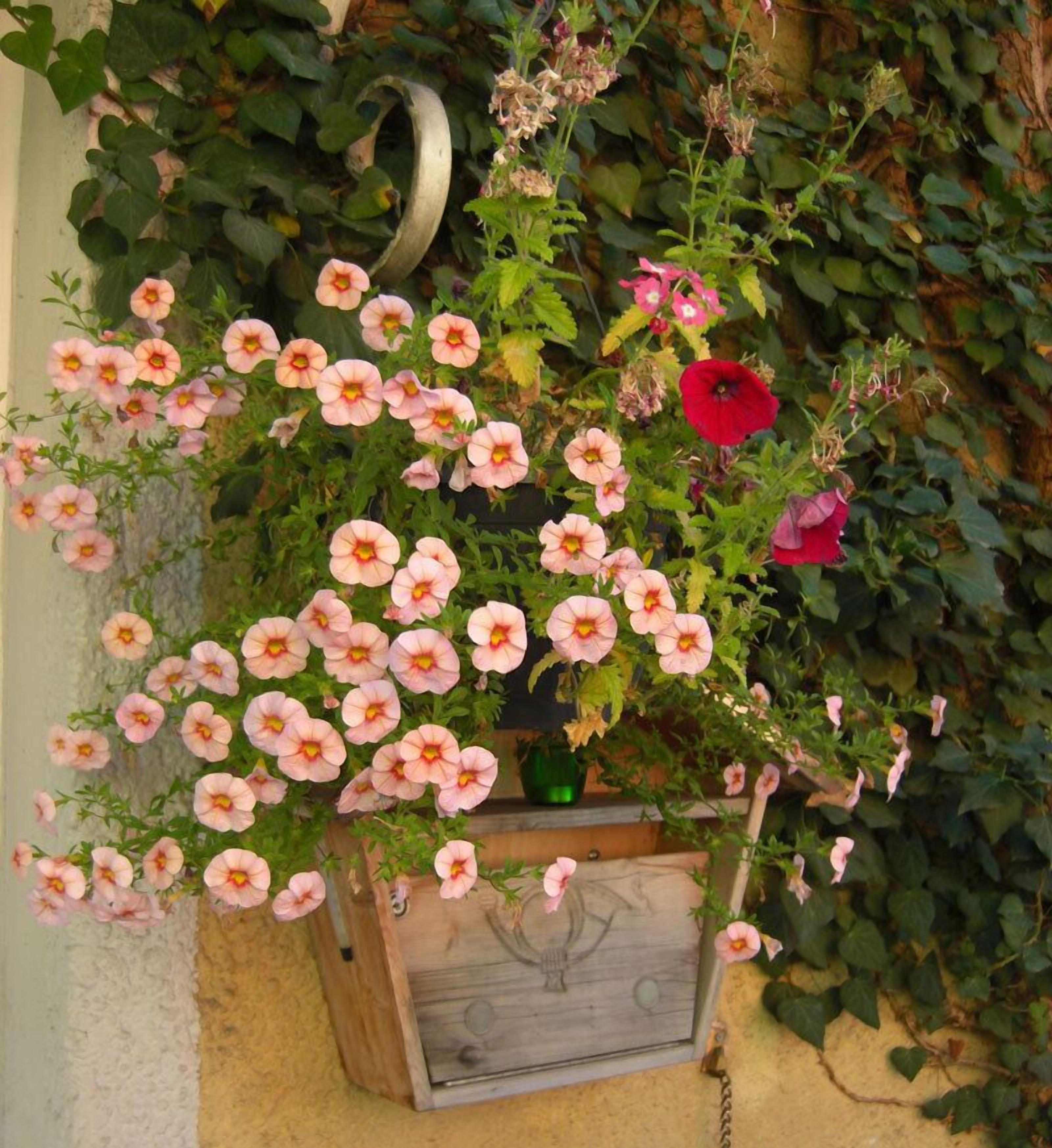 Foto - Hotel Mariahilf München