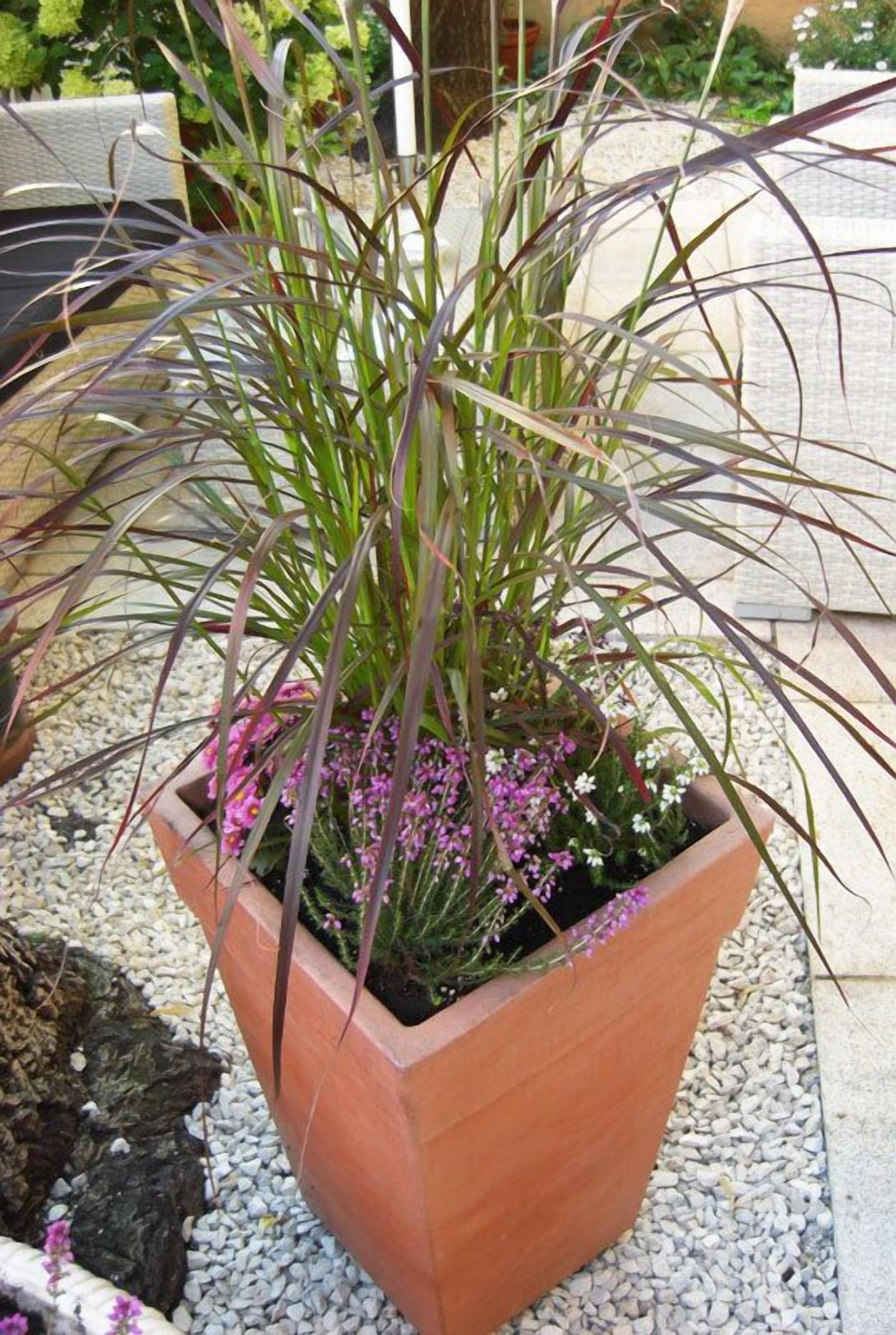 Foto - Hotel Mariahilf München