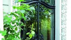 A black wrought iron gate with intricate designs, a white door, and a green plant with a single flower in front. - Hotel Miramar (Hamburg)