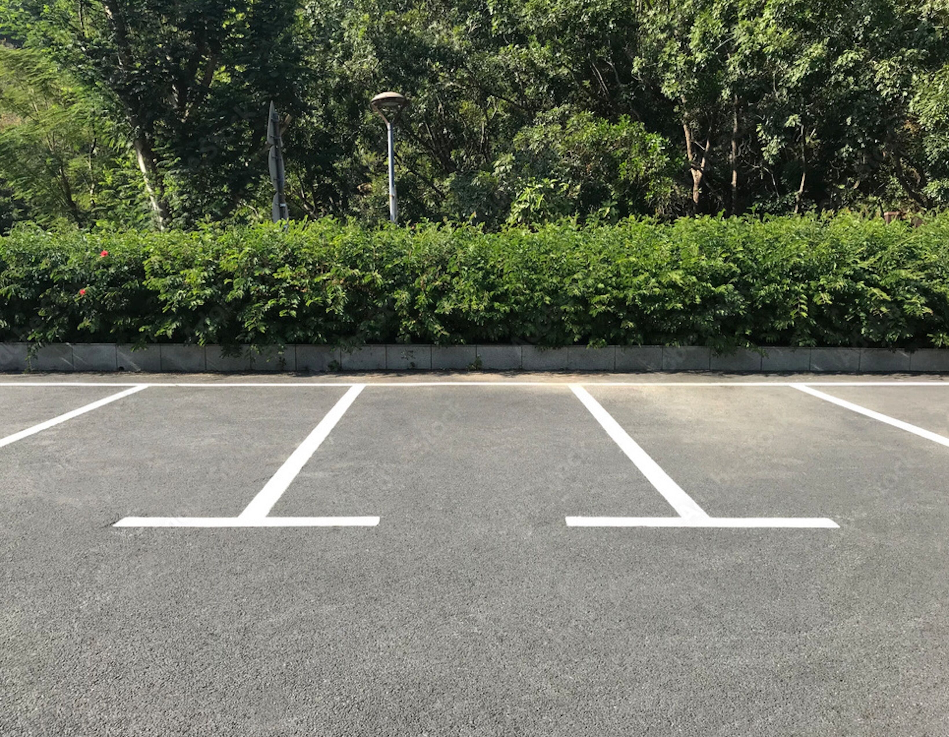 self-parking (surcharge) 10 per day