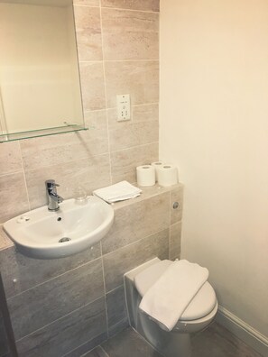 Chambre familiale | Salle de bain | Ensemble baignoire-douche, séchoir à cheveux, serviettes fournies