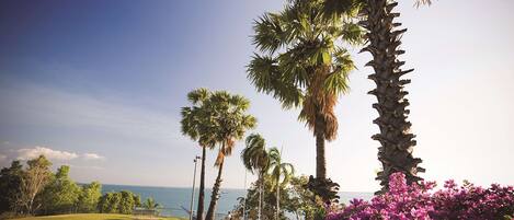 Pemandangan dari properti