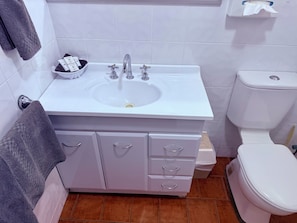 Buồng tắm vòi sen, đồ dùng nhà tắm miễn phí, máy sấy tóc, khăn tắm