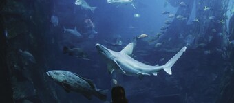 Metro Apartments on Bank Place