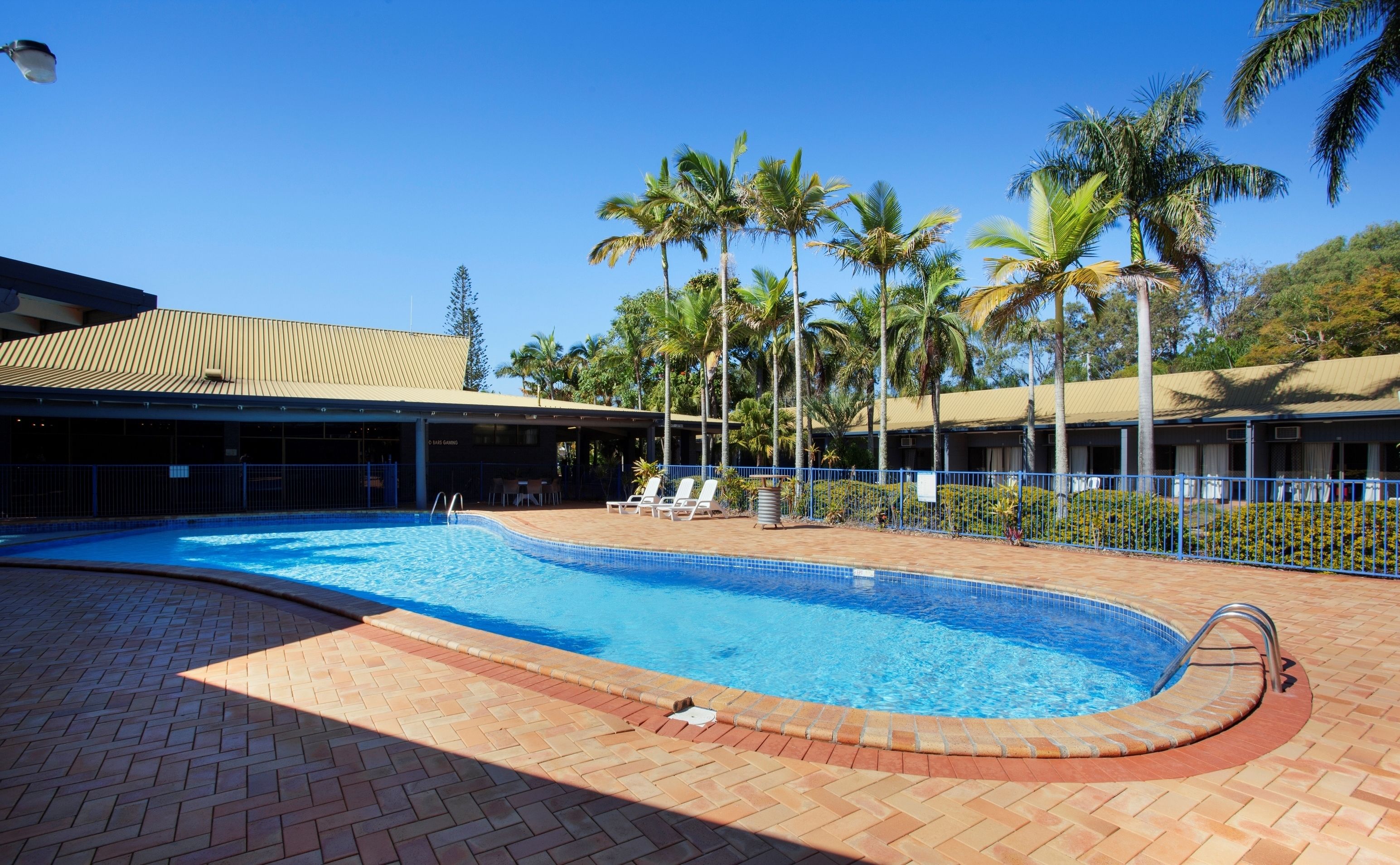 A swimming pool with a brick deck, surrounded by palm trees and a building with a flat roof.