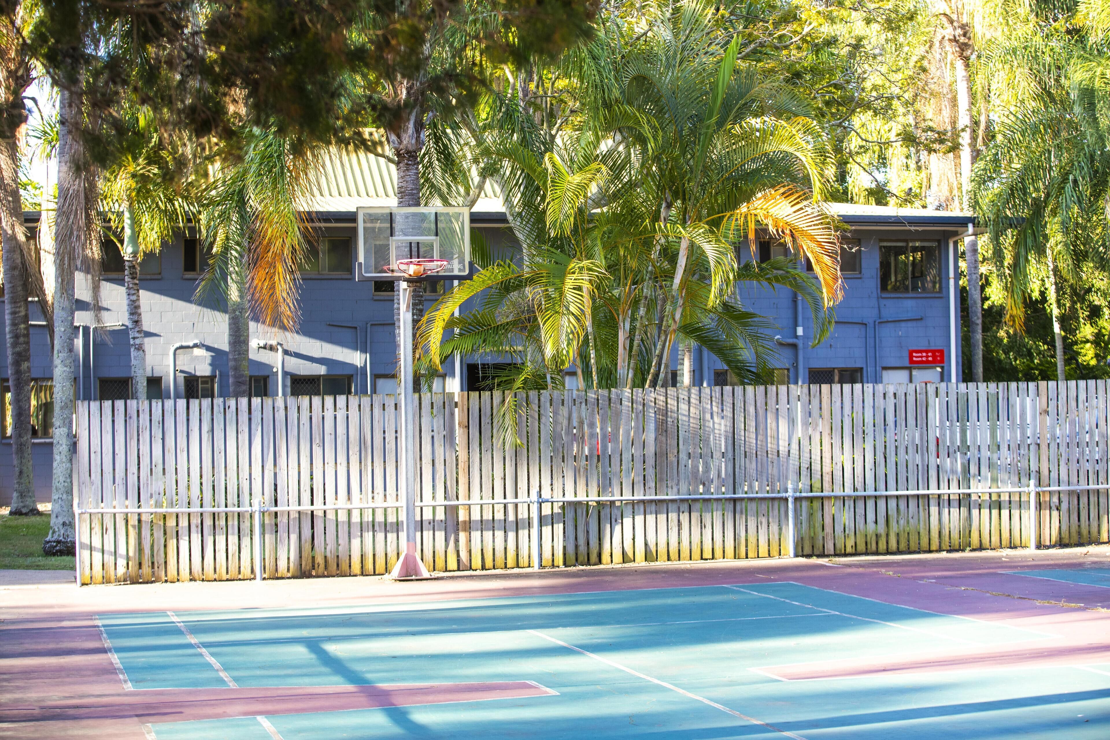 An outdoor basketball court with a wooden fence, palm trees, and a building in the background.