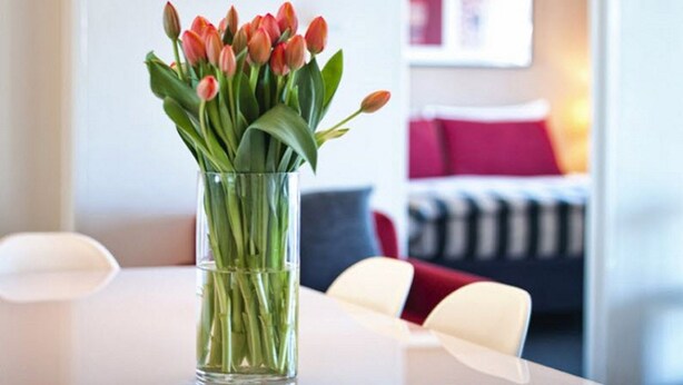 A clear glass vase with tulips on a white table in a modern room with a white ceiling and a red cushion on a sofa in the background. -  Kingston Gardens Serviced Apartments  (Griffith)