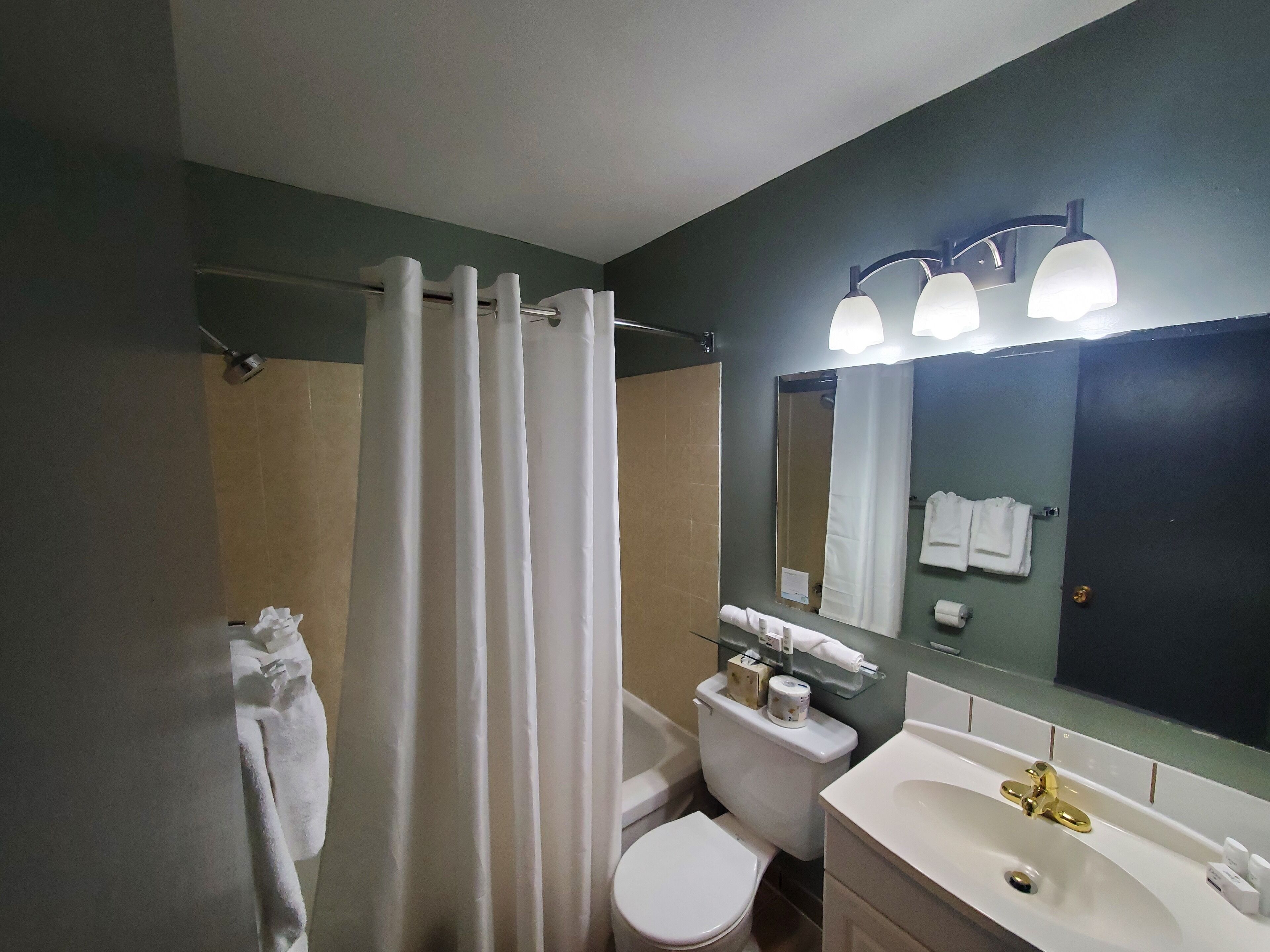 A bathroom with a shower curtain, toilet, sink, and mirror.