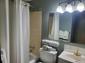 Vòi sen/bồn tắm kết hợp, đồ dùng nhà tắm miễn phí, máy sấy tóc 