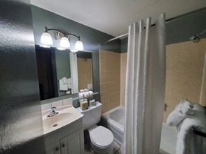 Combined shower/bathtub, free toiletries, hair dryer, towels