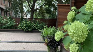 A paved courtyard with potted plants and a wooden fence. - Pembroke Inn (Toronto)