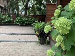 Garden - Pembroke Inn (Toronto)